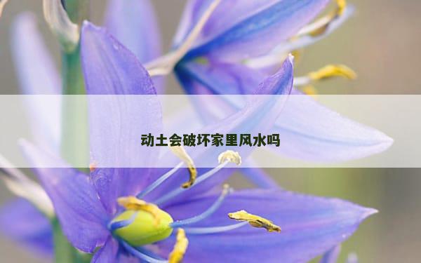 动土会破坏家里风水吗