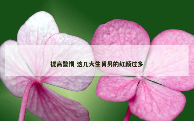 提高警惕 这几大生肖男的红颜过多