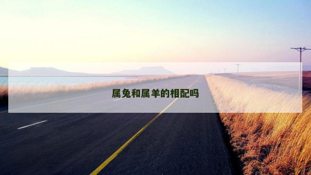 属兔和属羊的相配吗