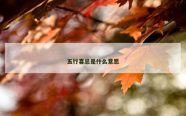 五行喜忌是什么意思