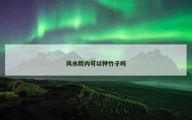 风水院内可以种竹子吗