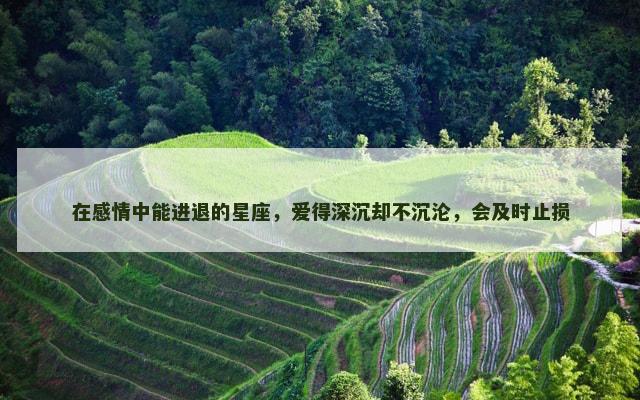 在感情中能进退的星座，爱得深沉却不沉沦，会及时止损