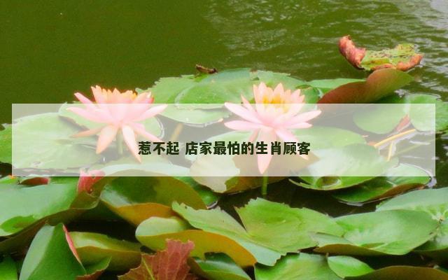 惹不起 店家最怕的生肖顾客