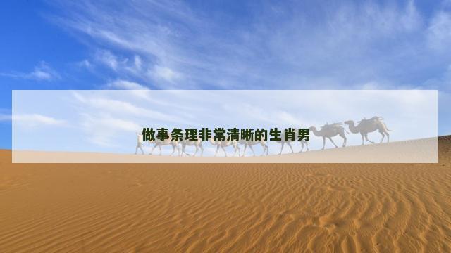 做事条理非常清晰的生肖男