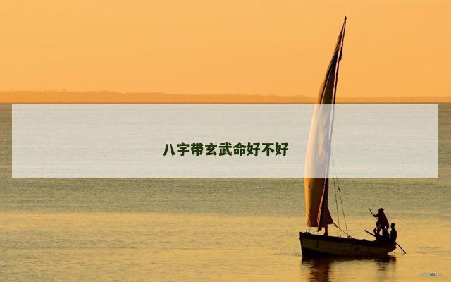 八字带玄武命好不好