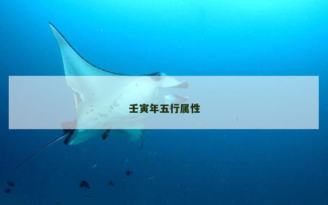 壬寅年五行属性