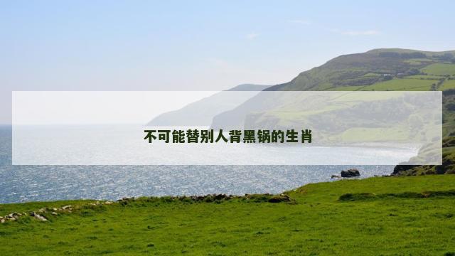 不可能替别人背黑锅的生肖