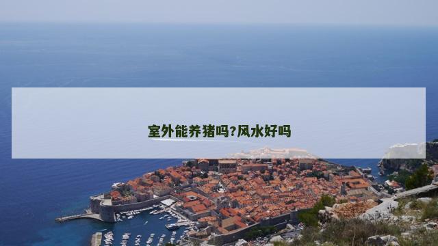 室外能养猪吗?风水好吗