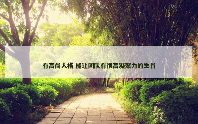 有高尚人格 能让团队有很高凝聚力的生肖