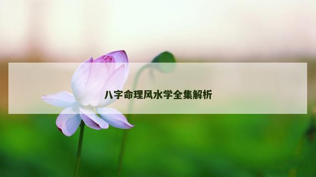八字命理风水学全集解析