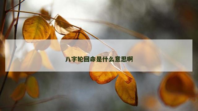 八字轮回命是什么意思啊