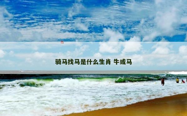 骑马找马是什么生肖 牛或马