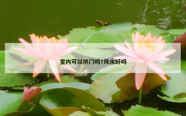 室内可以拱门吗?风水好吗