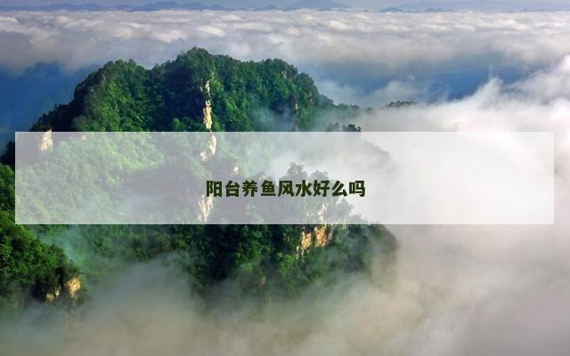 阳台养鱼风水好么吗