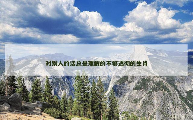 对别人的话总是理解的不够透彻的生肖