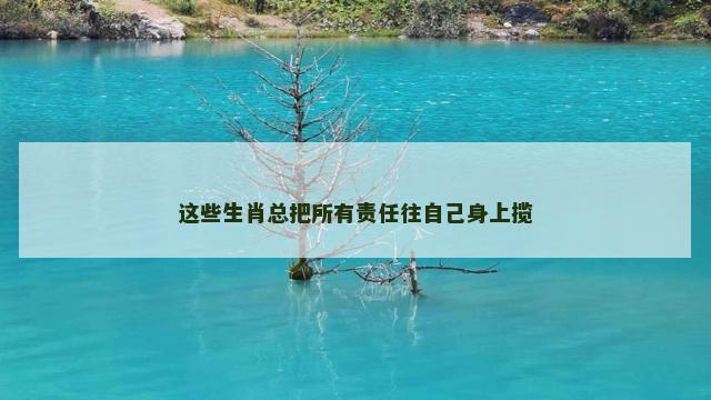 这些生肖总把所有责任往自己身上揽