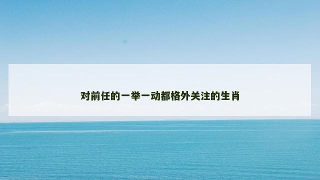 对前任的一举一动都格外关注的生肖