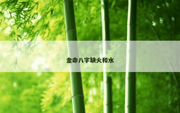 金命八字缺火和水