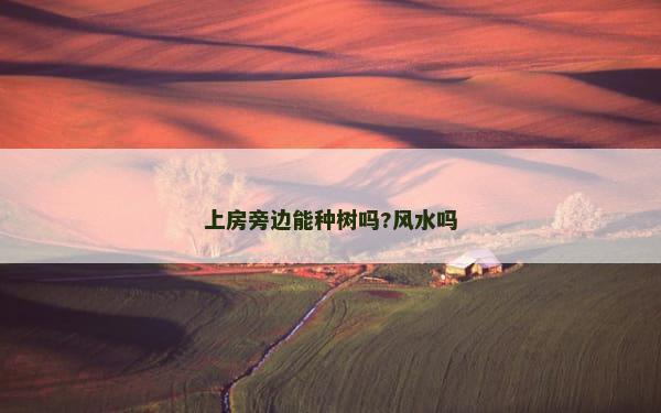 上房旁边能种树吗?风水吗
