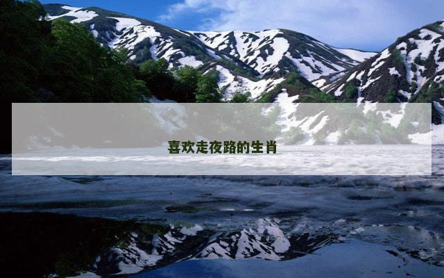 喜欢走夜路的生肖