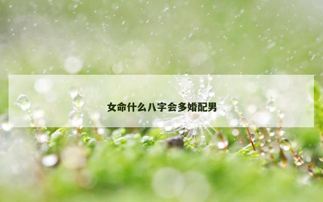 女命什么八字会多婚配男