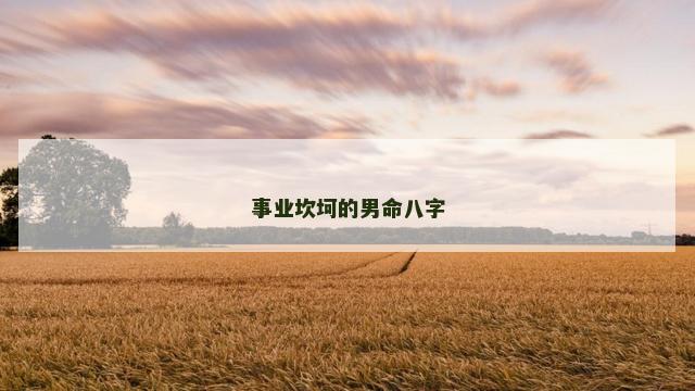 事业坎坷的男命八字