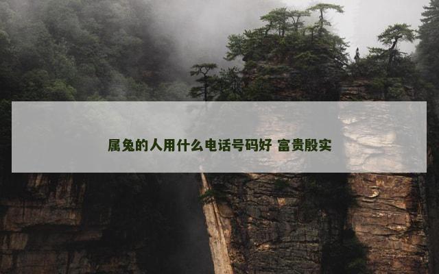 属兔的人用什么电话号码好 富贵殷实