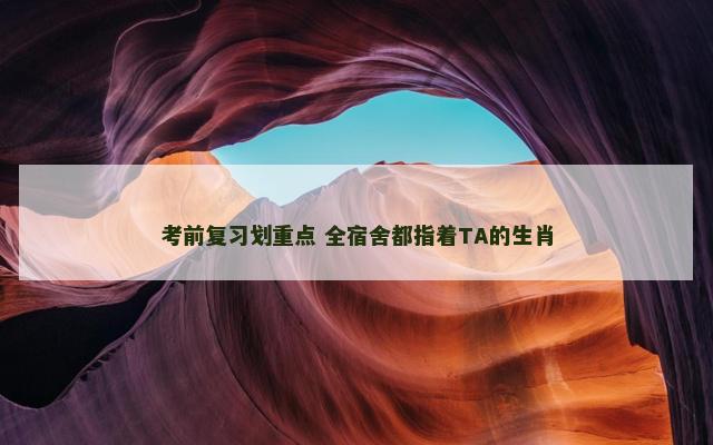 考前复习划重点 全宿舍都指着TA的生肖