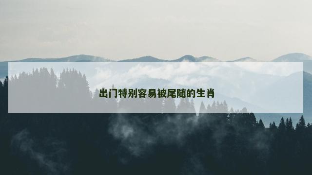 出门特别容易被尾随的生肖