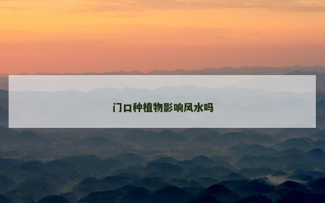 门口种植物影响风水吗