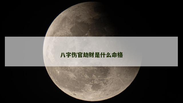 八字伤官劫财是什么命格