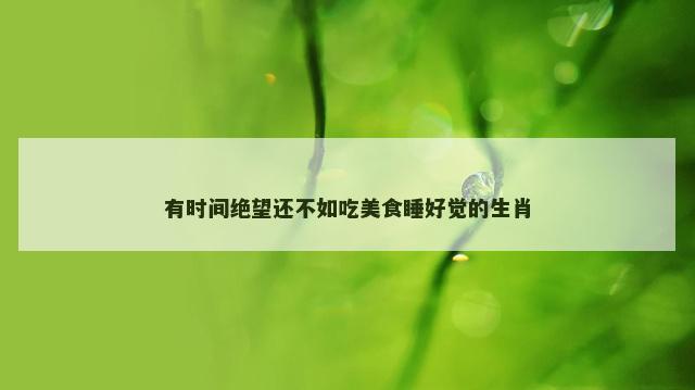 有时间绝望还不如吃美食睡好觉的生肖