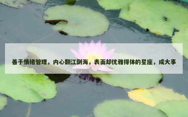 善于情绪管理，内心翻江倒海，表面却优雅得体的星座，成大事