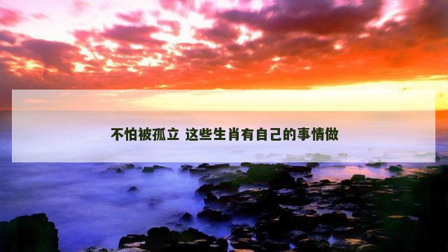 不怕被孤立 这些生肖有自己的事情做