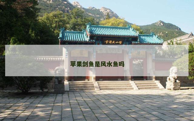 苹果剑鱼是风水鱼吗