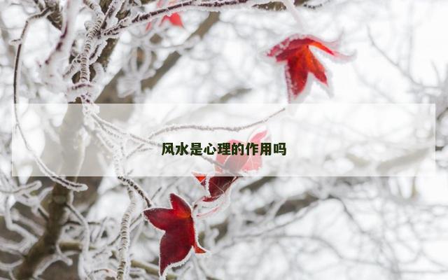 风水是心理的作用吗