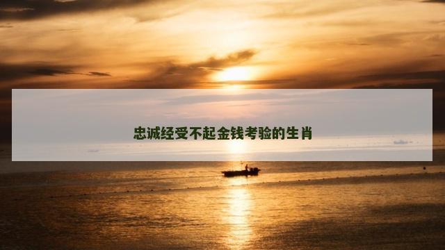忠诚经受不起金钱考验的生肖