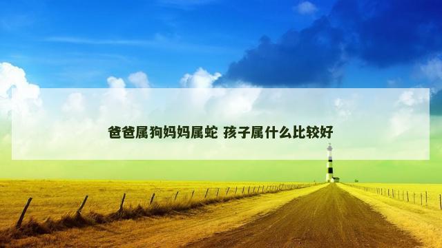 爸爸属狗妈妈属蛇 孩子属什么比较好