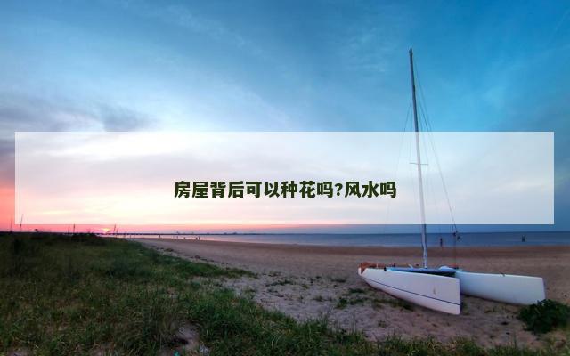 房屋背后可以种花吗?风水吗