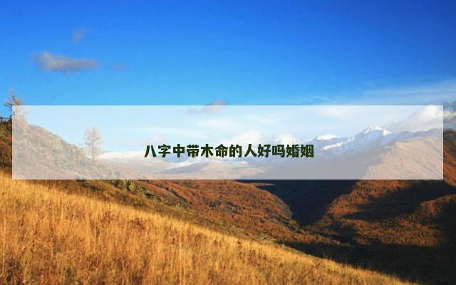 八字中带木命的人好吗婚姻