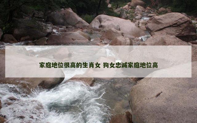 家庭地位很高的生肖女 狗女忠诚家庭地位高