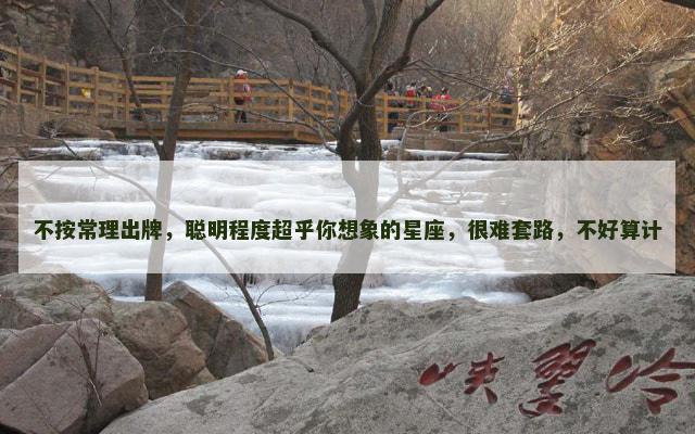不按常理出牌，聪明程度超乎你想象的星座，很难套路，不好算计