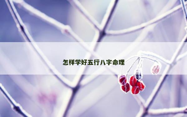 怎样学好五行八字命理