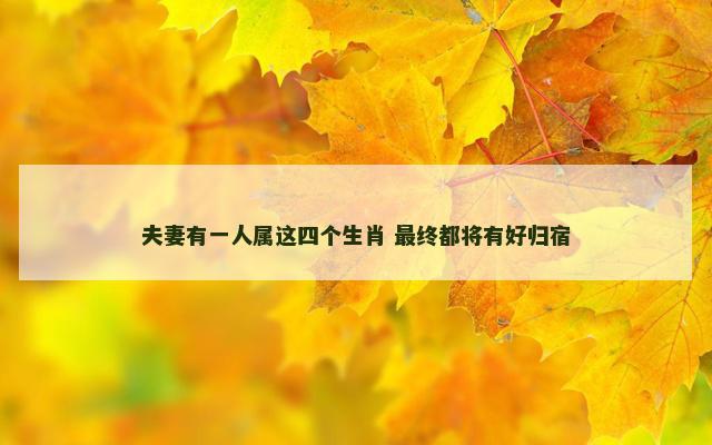 夫妻有一人属这四个生肖 最终都将有好归宿