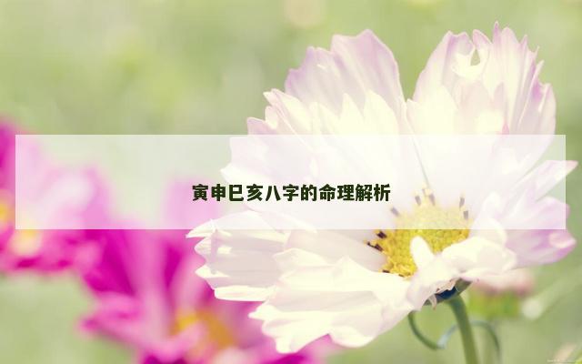 寅申巳亥八字的命理解析