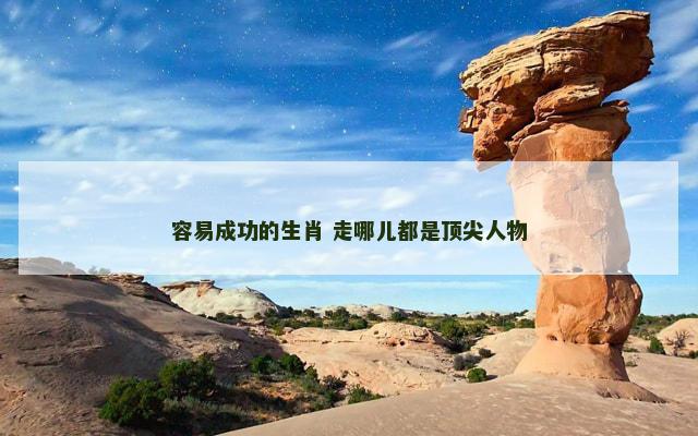 容易成功的生肖 走哪儿都是顶尖人物