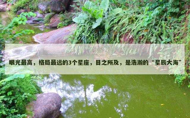 眼光最高，格局最远的3个星座，目之所及，是浩瀚的“星辰大海”