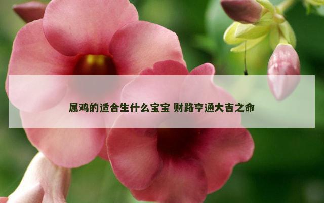 属鸡的适合生什么宝宝 财路亨通大吉之命