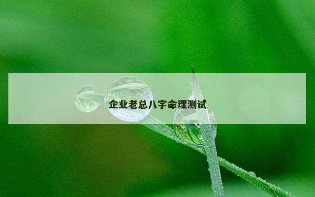 企业老总八字命理测试