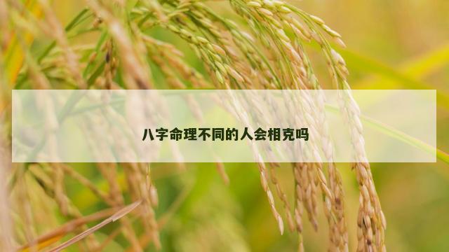 八字命理不同的人会相克吗